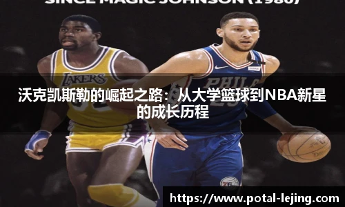 乐竞体育网址